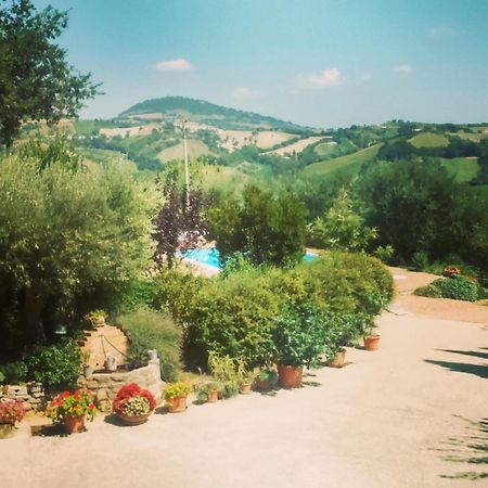 Bed and Breakfast Casale Il Cerqueto San Severino Marche Zimmer foto