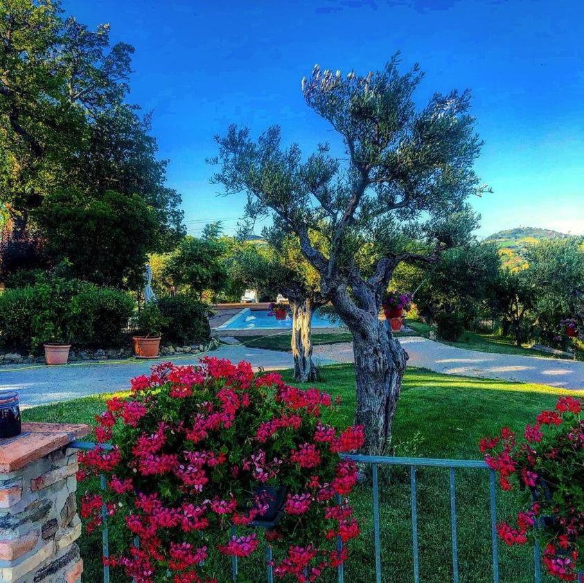 Bed and Breakfast Casale Il Cerqueto San Severino Marche Exterior foto