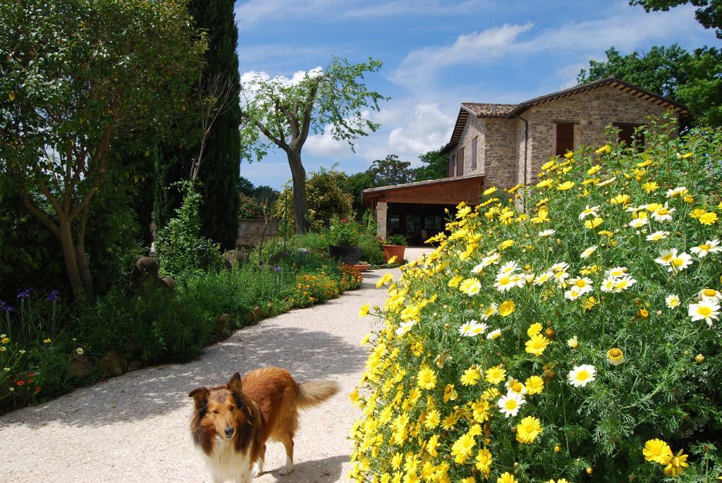 Bed and Breakfast Casale Il Cerqueto San Severino Marche Exterior foto