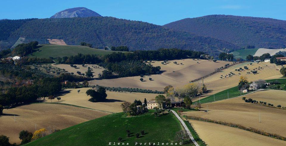 Bed and Breakfast Casale Il Cerqueto San Severino Marche Exterior foto