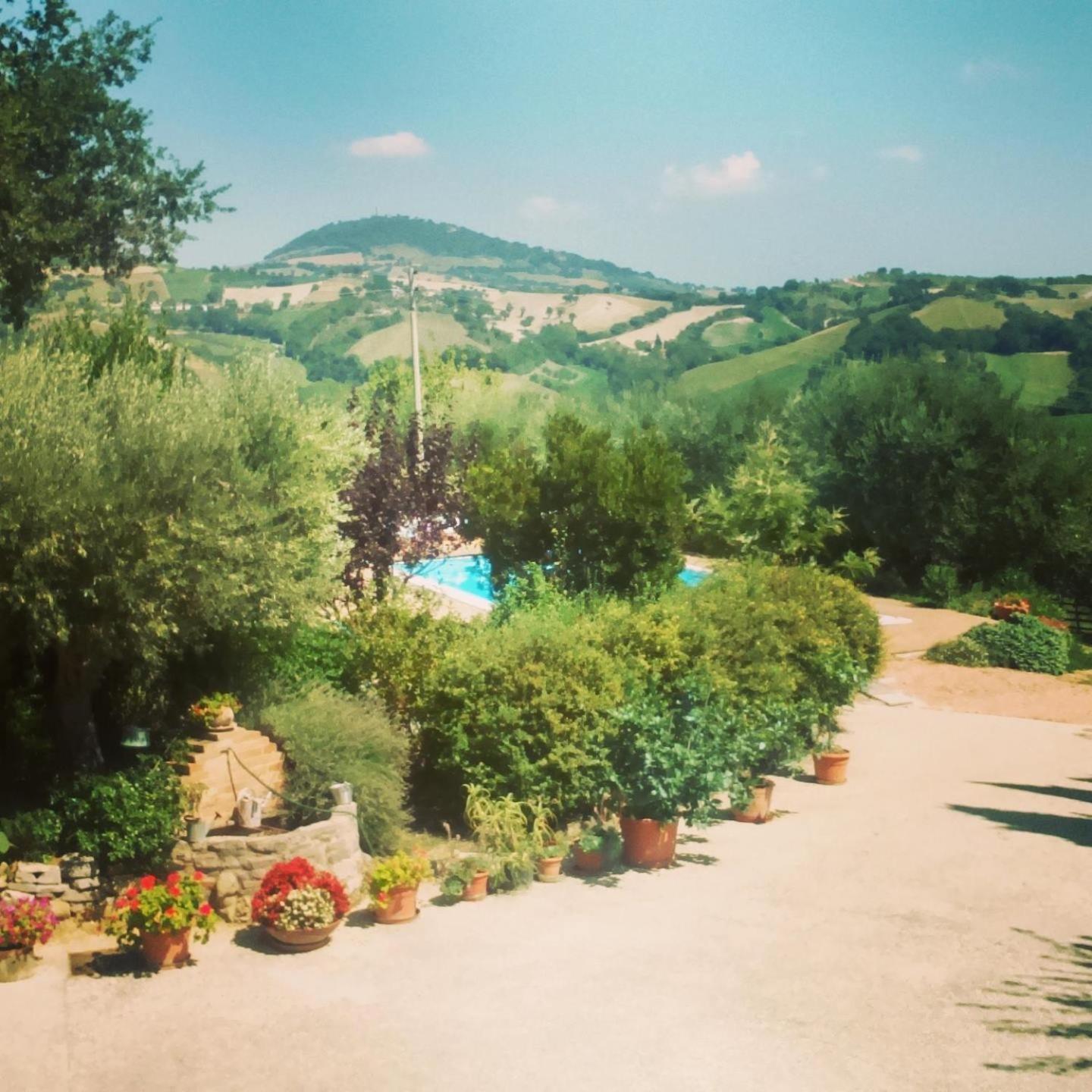 Bed and Breakfast Casale Il Cerqueto San Severino Marche Zimmer foto