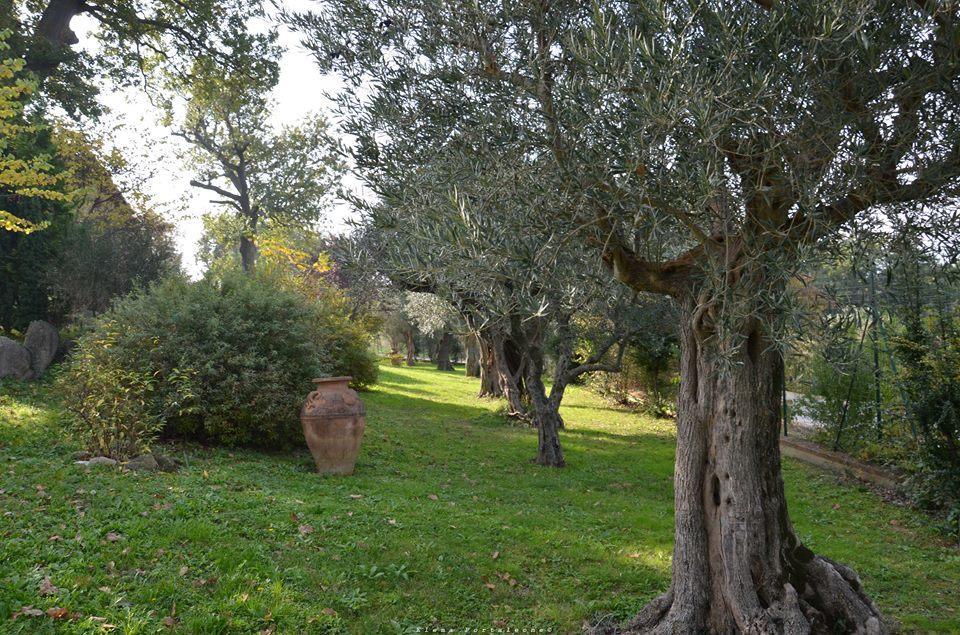 Bed and Breakfast Casale Il Cerqueto San Severino Marche Exterior foto