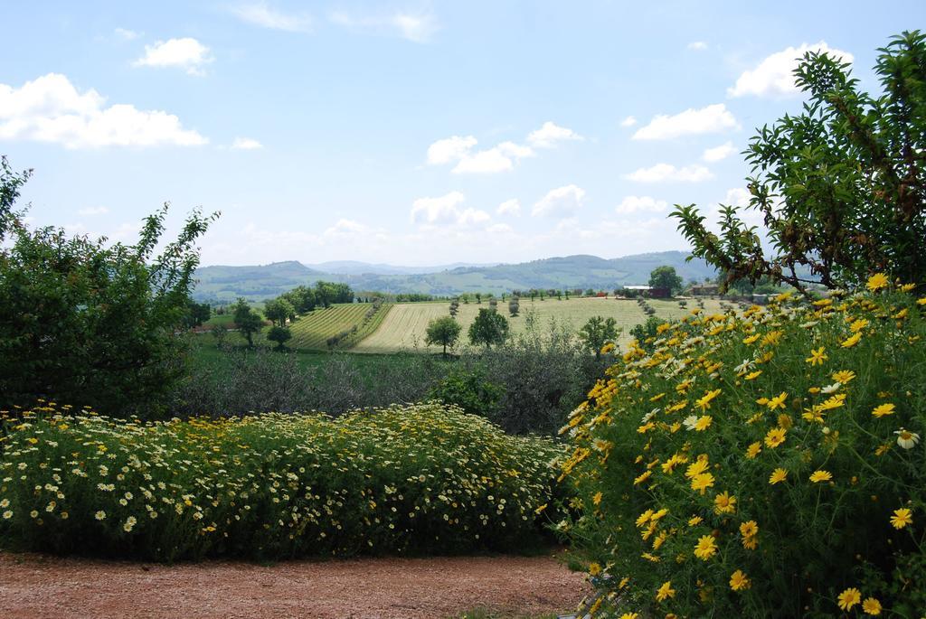 Bed and Breakfast Casale Il Cerqueto San Severino Marche Exterior foto