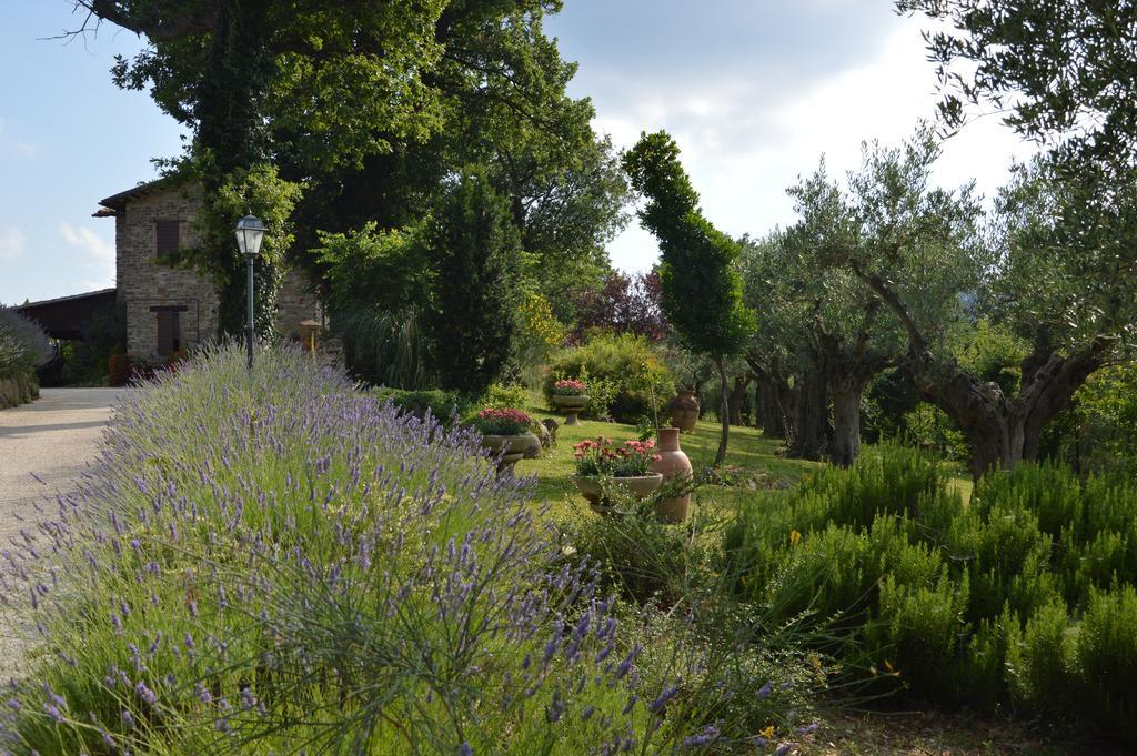 Bed and Breakfast Casale Il Cerqueto San Severino Marche Exterior foto
