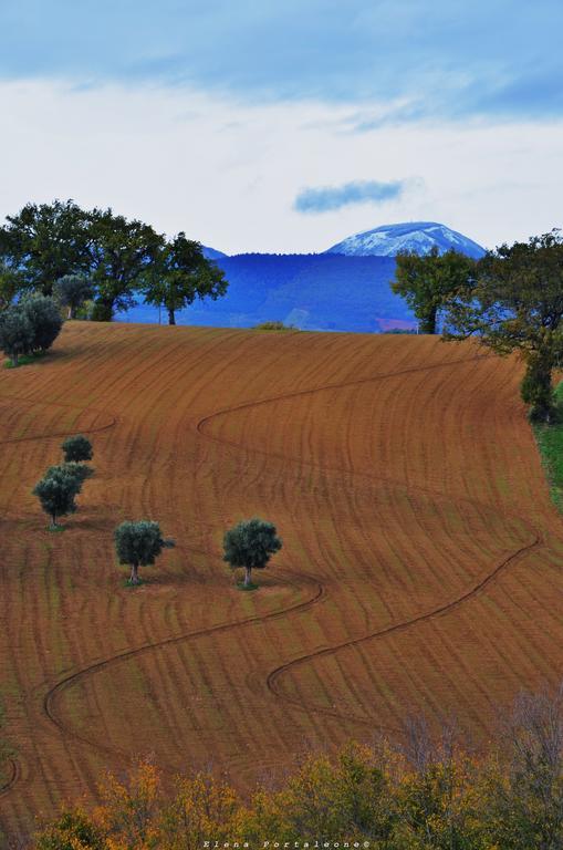 Bed and Breakfast Casale Il Cerqueto San Severino Marche Exterior foto