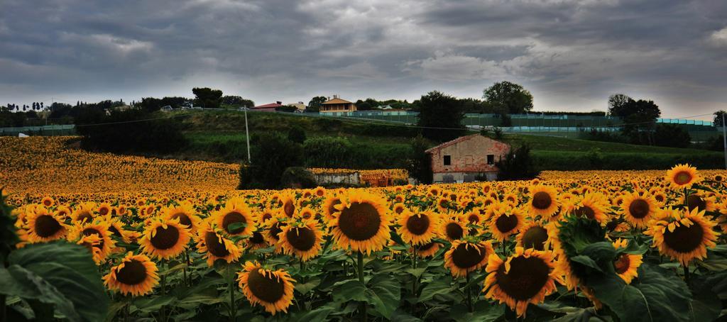 Bed and Breakfast Casale Il Cerqueto San Severino Marche Exterior foto