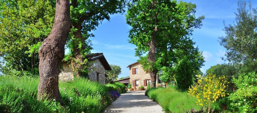 Bed and Breakfast Casale Il Cerqueto San Severino Marche Exterior foto