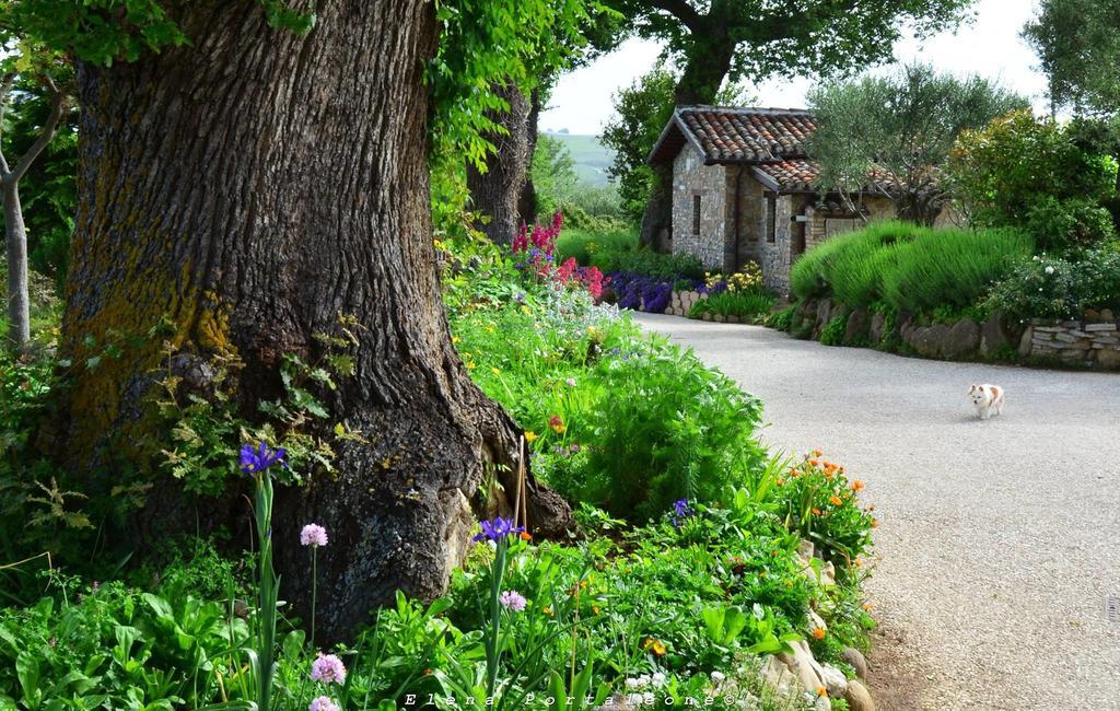 Bed and Breakfast Casale Il Cerqueto San Severino Marche Exterior foto